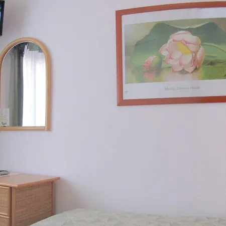Eco Montemerlo 3*